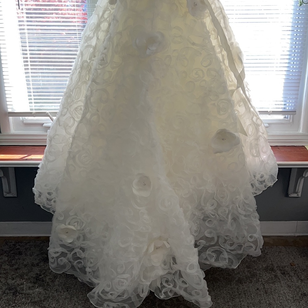 Wedding Dress - Picture 15 of 15